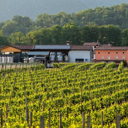 Agriturismo Al Col 폴리나 외부 사진